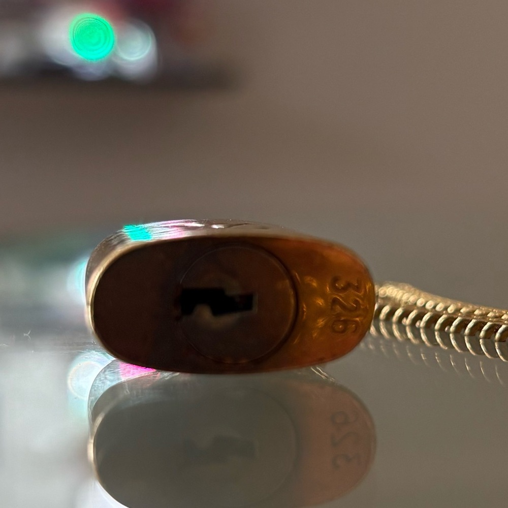Louis Vuitton Vintage Brass Padlock (#326) 🌟 - Picture 6 of 7
